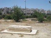 goldstein grave